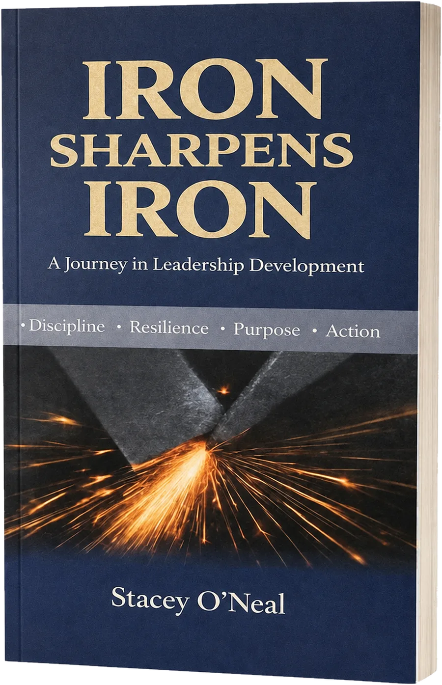 Book cover: Iron Sharpens Iron: A Journey of Resilient Leadership, by Stacey O'Neal.